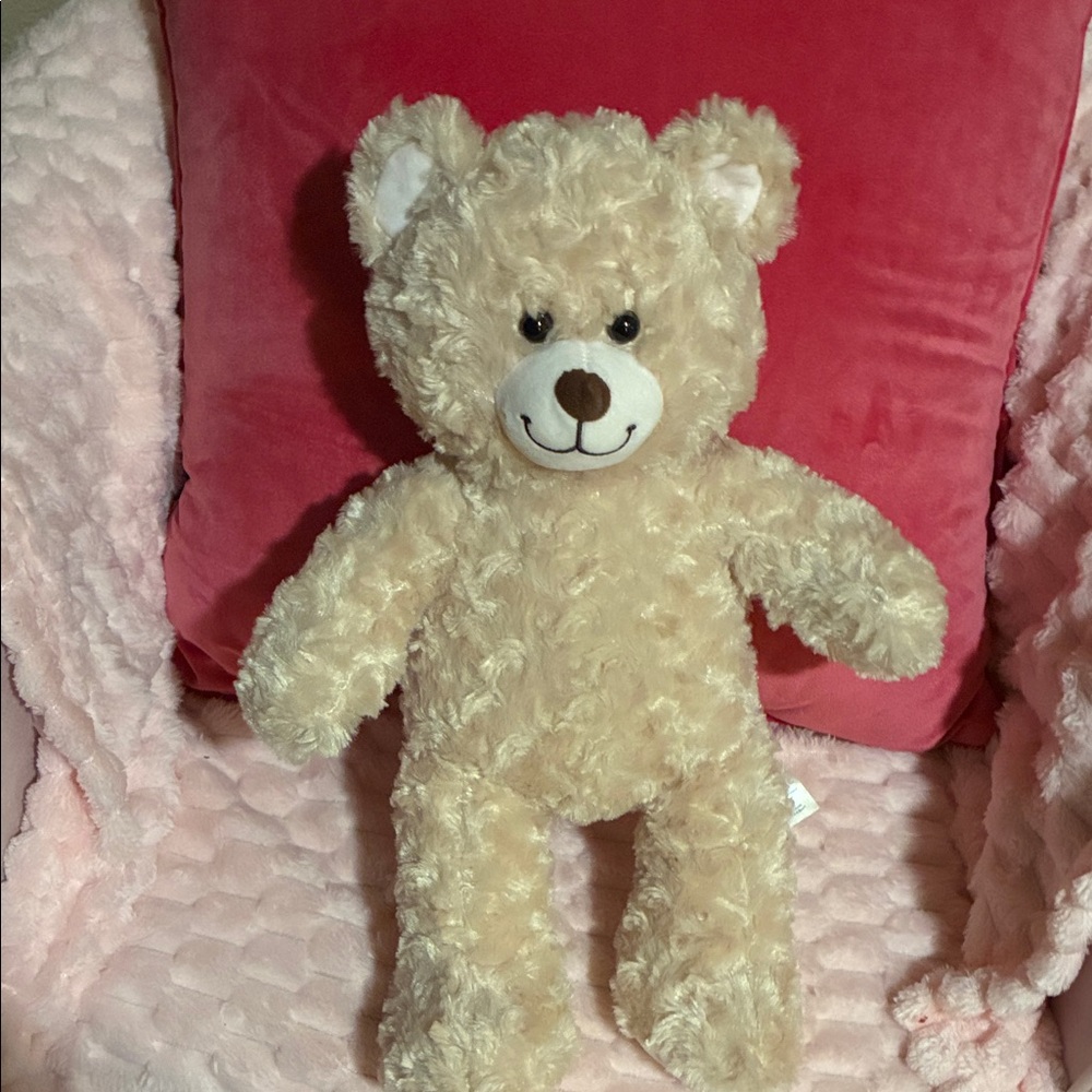 Build-A-Bear Fluffy Beige Teddy Bear